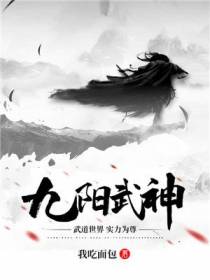 武神叶云飞