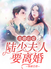 陆少夫人要离婚童心暖陆深