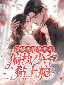 顶级大佬是美人,偏执少爷黏上瘾
