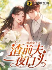 二婚被宠上天，渣前夫一夜白头