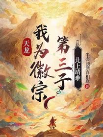 天龙：我为徽宗第三子，北上靖难