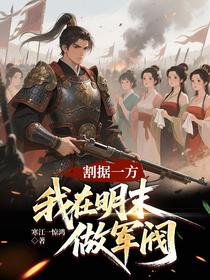 割据一方，我在明末做军阀