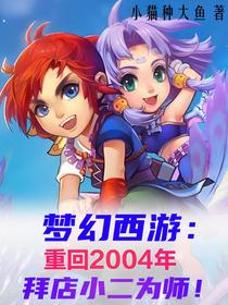 梦幻：重回04年，拜店小二为师