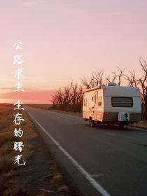 公路求生：生存的曙光
